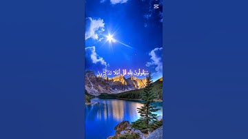 قرأن كريم ياسر الدوسري سورة الشعراء