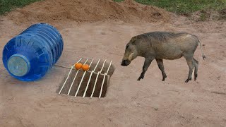 Amazing Quick And Strong Wild Pig Trap Make Water Tank