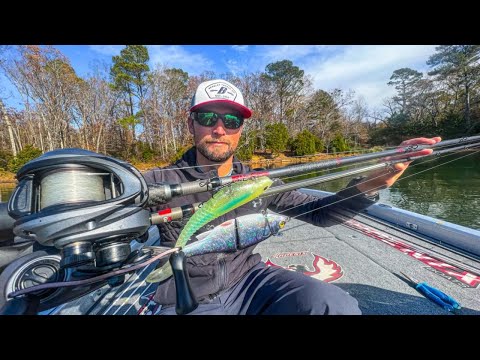 Which Big Swimbait Should You Throw?