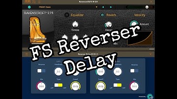 FS REVERSER DELAY AUv3 Effect Demo & Tutorial for the iPad