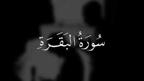 اجمل حالات واتس آب قرآن كريم بصوت جميل جداً _ القارئ: محمد النقيب