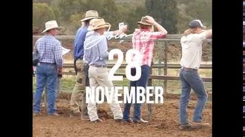 Angus Sire Benchmarking Program Open Day