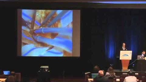 ISSRDC 2013: Garnette Sutherland, Advancing Neurosurgery through Space Technology