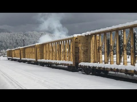 Video: Terjebak Amtrak Di Kereta Oregon Akhirnya Kembali Ke Eugene, Oregon