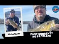 High river smallmouth bass fishing bassfishing fishing.