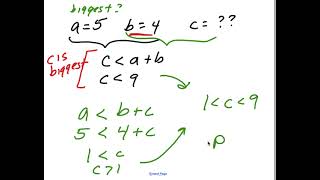 Famous Triangle Inequality Theorem (Random Math Questions) Net Worth