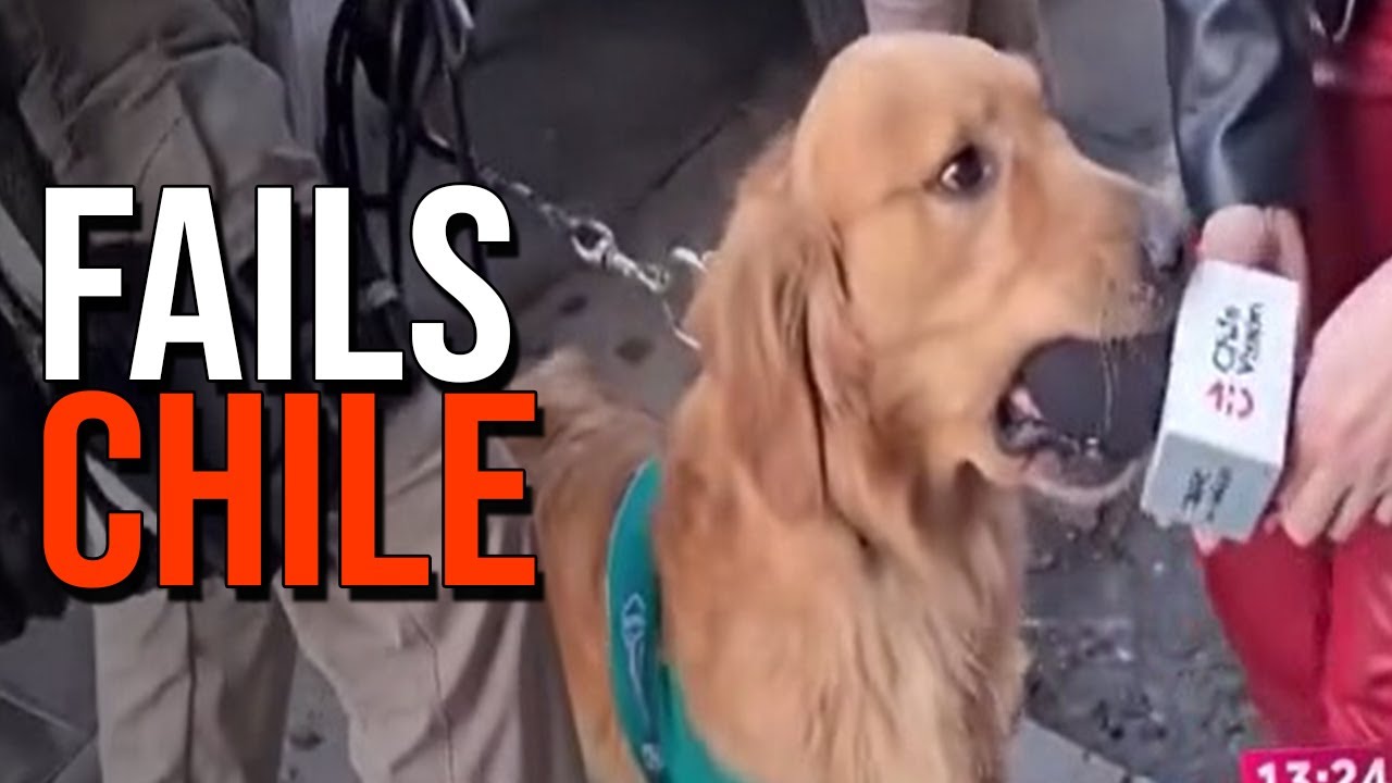 Solo pasa en Chile 161 | Elchileno2.0