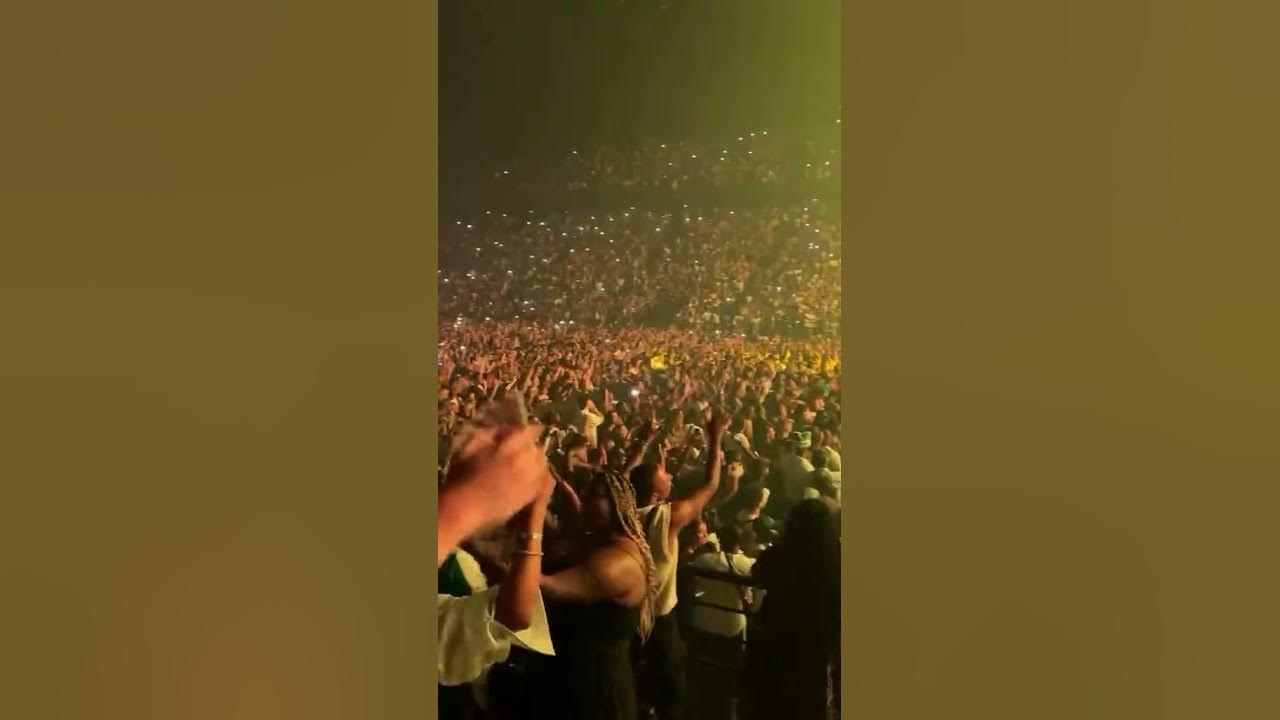 Rema at accor arena,everybody say Yellow. 💛🦇🦇 #rema #talk_calmly_ng #goviral
