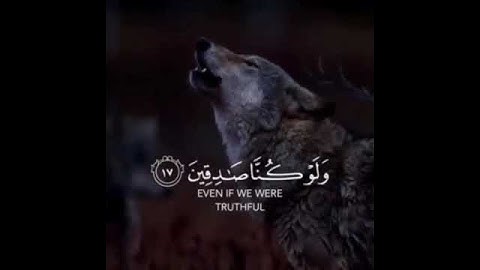 #اسلام صبحي | حالات واتس اب دينيه | قران كريم,تلاوه خاشعه,ارح سمعك♥♥.