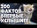 200 ШОКИРУЮЩИХ ФАКТОВ КОТОРЫЕ ВЫ УСЛЫШИТЕ ВПЕРВЫЕ