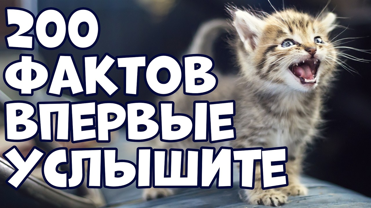 200 ШОКИРУЮЩИХ ФАКТОВ, КОТОРЫЕ ВЫ УСЛЫШИТЕ ВПЕРВЫЕ