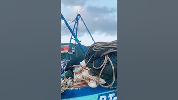 ghe cào BT hữu đẹp