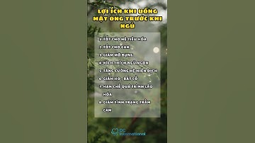 Lợi ích khi uống mật ong trước khi ngủ | Bác sĩ Cường