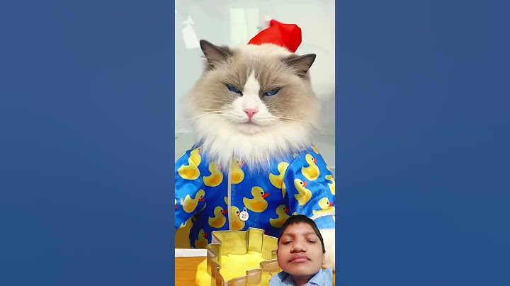puff is saving christmas again with his incredible baking skills #green #screen #india