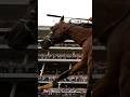 What time does preakness 2024 start mystik dan seeks second triple crown win