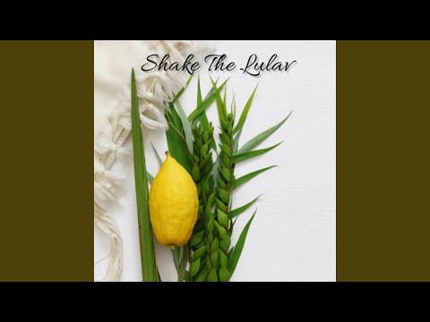 Shake The Lulav