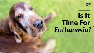 When Is The Right Time To Decide For Euthanasia