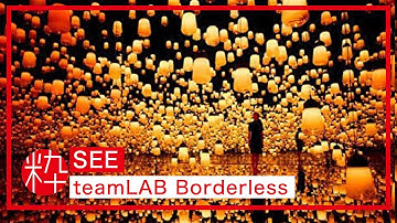 Mori Building DIGITAL ART MUSEUM: teamLAB Borderless