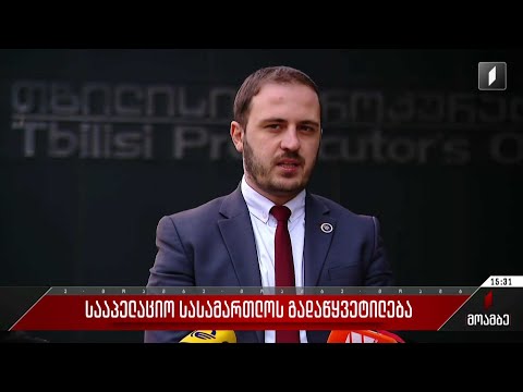 სააპელაციო სასამართლოს გადაწყვეტილება