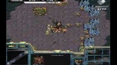 Savior vs. Bisu (Part 1 of 2)