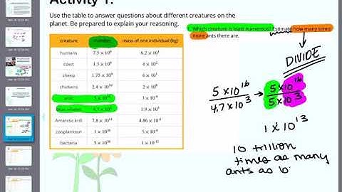 ERutzler SDMS - Unit 7 Lesson 14