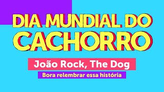 A História do Cachorro João Rock