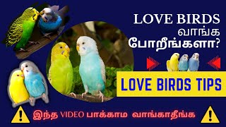 Love birds valarpathu eppadi tamil | Budgies in tamil | Care and breeding tips | itzmyview |