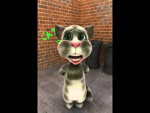 Videó: Macska Panleukopenia Vírus Macskákban