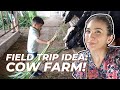 Field trip to a COW FARM in BATANGAS!