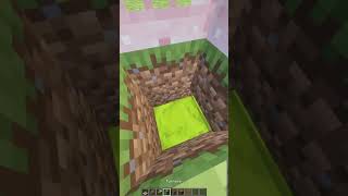 Minecraft 1x2 Cherry Starter House 🌸🏡