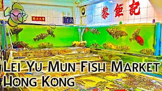 Hong Kong Fish Market 2019 - Lei Yu Mun Fish Market in Hong Kong