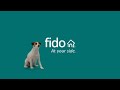 Fido Keep Your Cool Even When The Unexpected Happens Fido Keep Your Cool Even When The Unexpected Happens