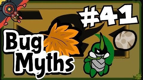 Bug Fables Myth #41: Unstoppable Pebble