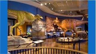 Half off admission to more than 60 museums during Museum Month