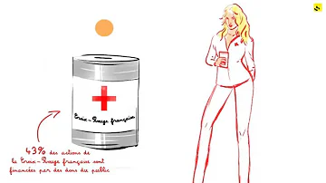 Comment est organisée la Croix-Rouge ?