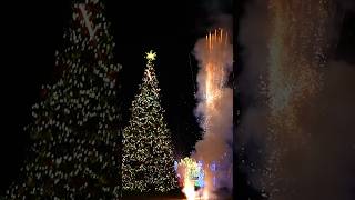 Recap of Old Town Untapped Holiday Edition 2025