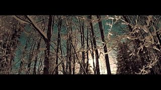 Віктор Павлік - Тутка