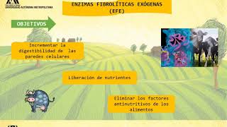 ENZIMAS PARA ALIMENTOS DE ANIMALES