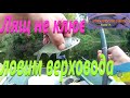 Лящ не клює # Ловим верховода #РибачуЯкУмію