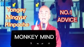 Understanding Monkey Mind Yongey Mingyur Rinpoche