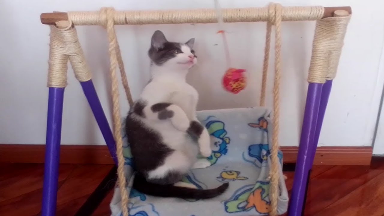 Hamaca para gatos DIY - ¡MUY FÁCIL! 