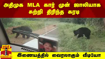 "அதிமுக MLA  கார் முன் ஜாலியாக சுற்றி திரிந்த கரடி"... இணையத்தில் வைரலாகும் வீடியோ | Nilgiri | Bear