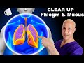 1 Cup CLEARS UP Phlegm & Mucus in Head, Chest, and Lungs | Dr. Mandell