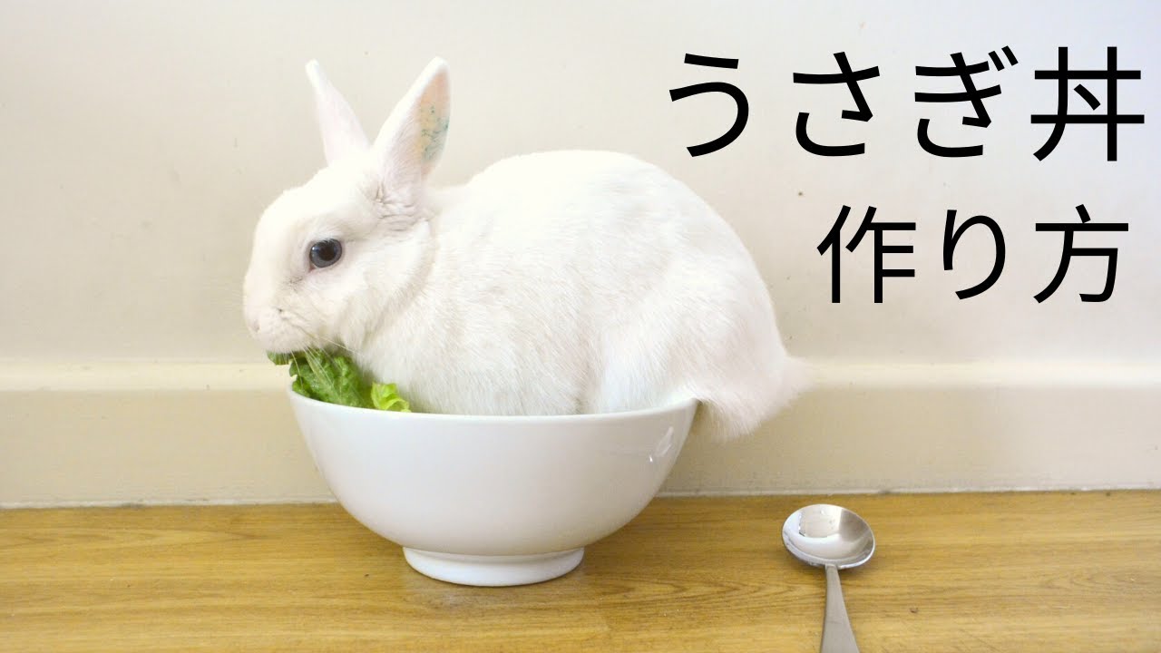 うさぎ丼の作り方 Youtube うさぎ丼の作り方 Youtube