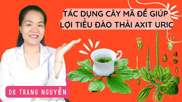 Cây mã de có tác dụng như thế nào