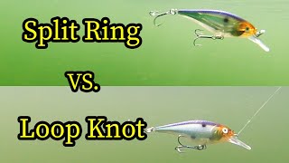 Should I use a split ring or loop knot? 