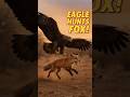🦅 Eagle Attacks Running Fox and Flies Away | Rare Wildlife Moment | 2025 #animals #wildlife