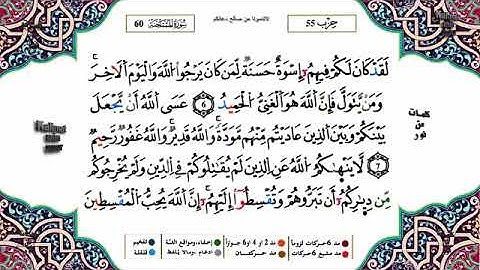 سورة الممتحنة مكتوبة برواية ورش/ ياسين الجزائري