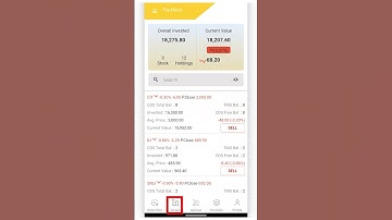 Blaze Mobile App | Portfolio & Order Page Explained