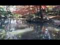 清水園、紅葉を楽しむ